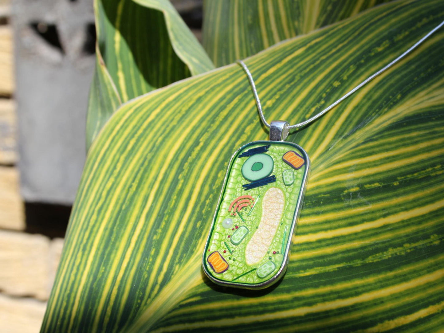 Plant Cell Necklace - Botanical Science Jewelry