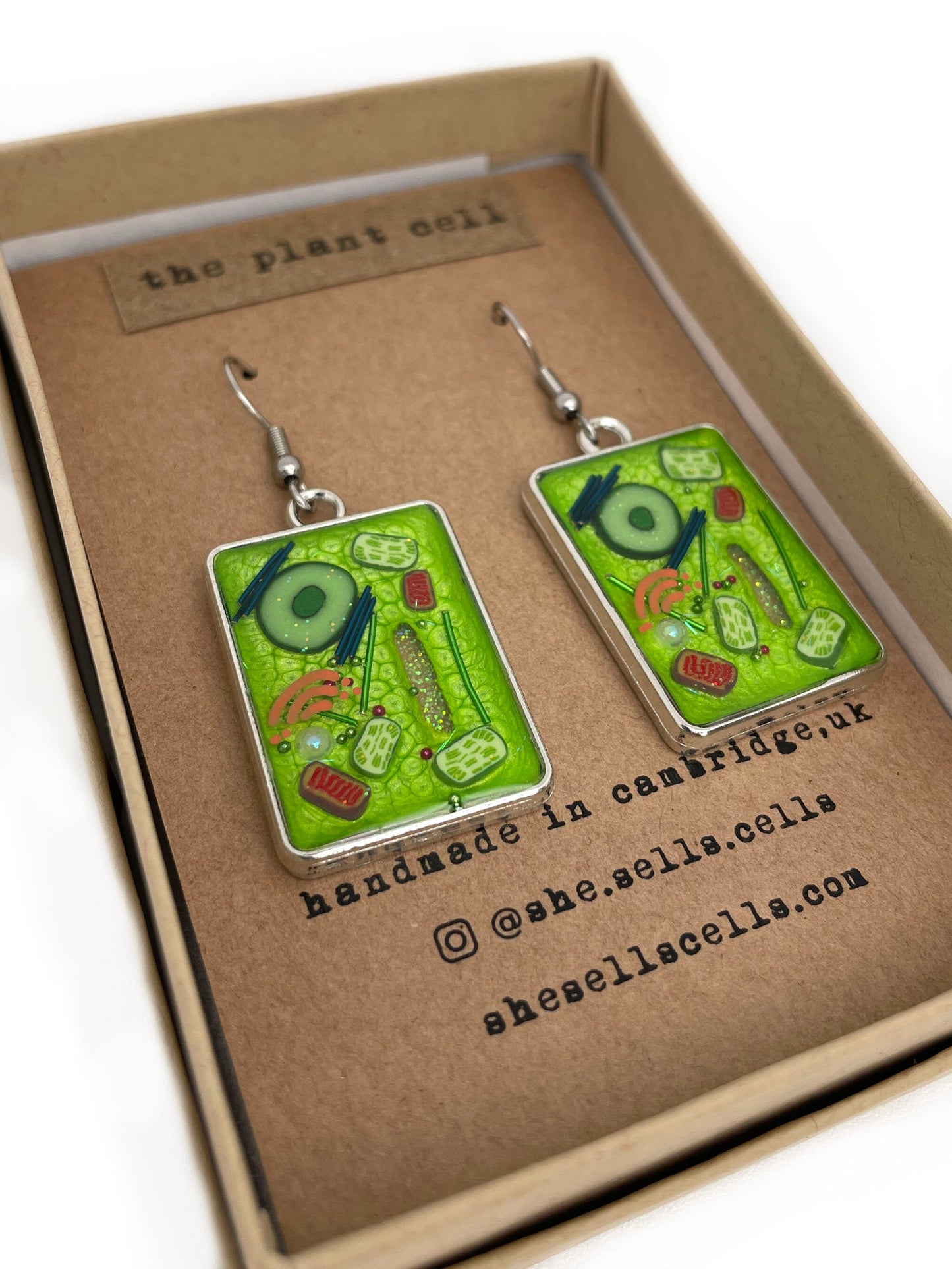 Plant Cell Earrings - Botanical Science Jewelry