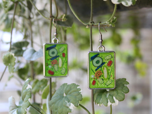 Plant Cell Earrings - Botanical Science Jewelry
