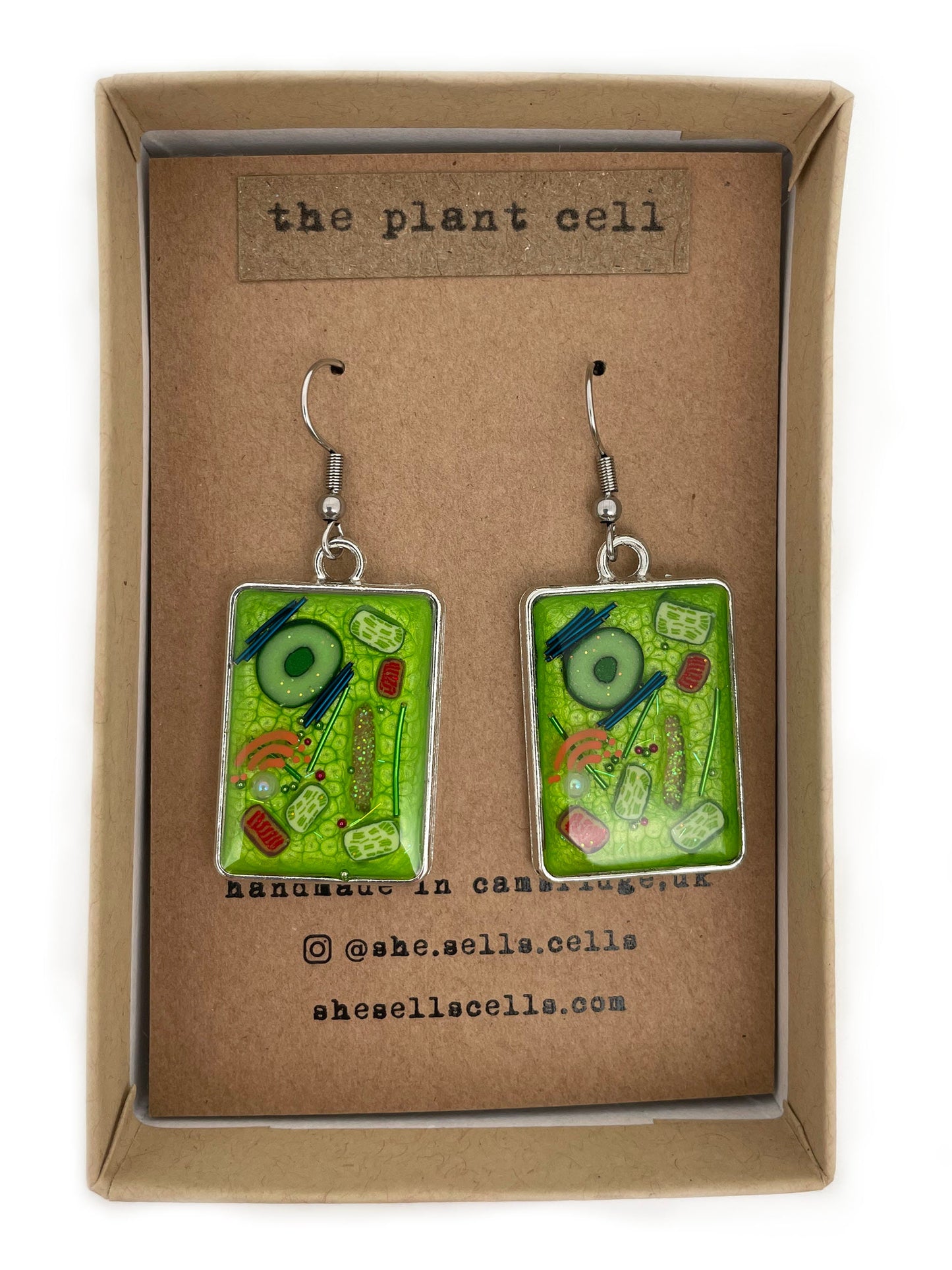 Plant Cell Earrings - Botanical Science Jewelry