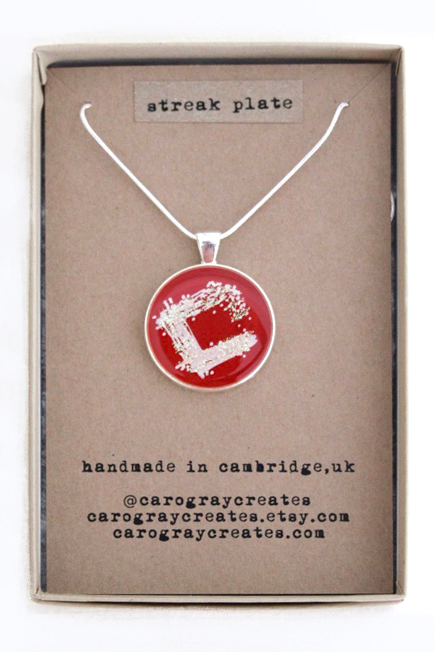 Streak Plate Necklace - Microbiology Lab Jewelry