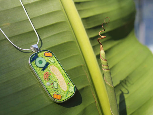 Plant Cell Necklace - Botanical Science Jewelry